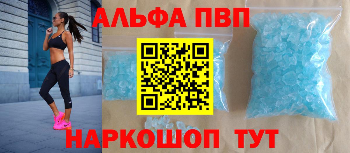 Альфа ПВП СК КРИС Надым