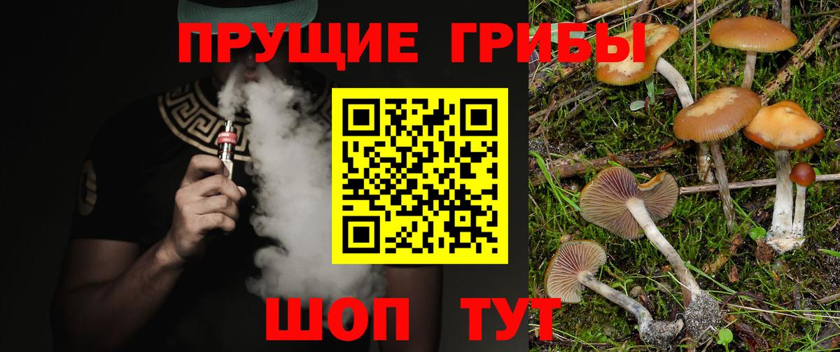 Псилоцибиновые грибы GOLDEN TEACHER Надым